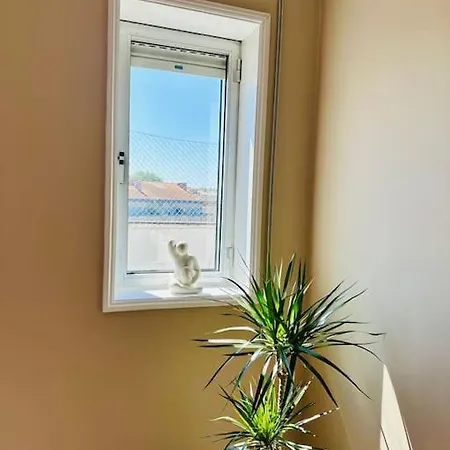 Renovado Com Ac, 2 Wc Completos, Terraço E Garagem