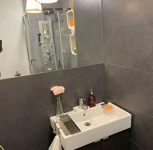 Renovado Com Ac, 2 Wc Completos, Terraço E Garagem Porto