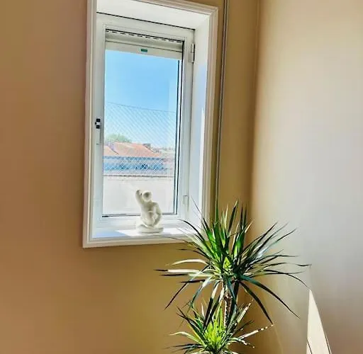 Renovado Com Ac, 2 Wc Completos, Terraço E Garagem